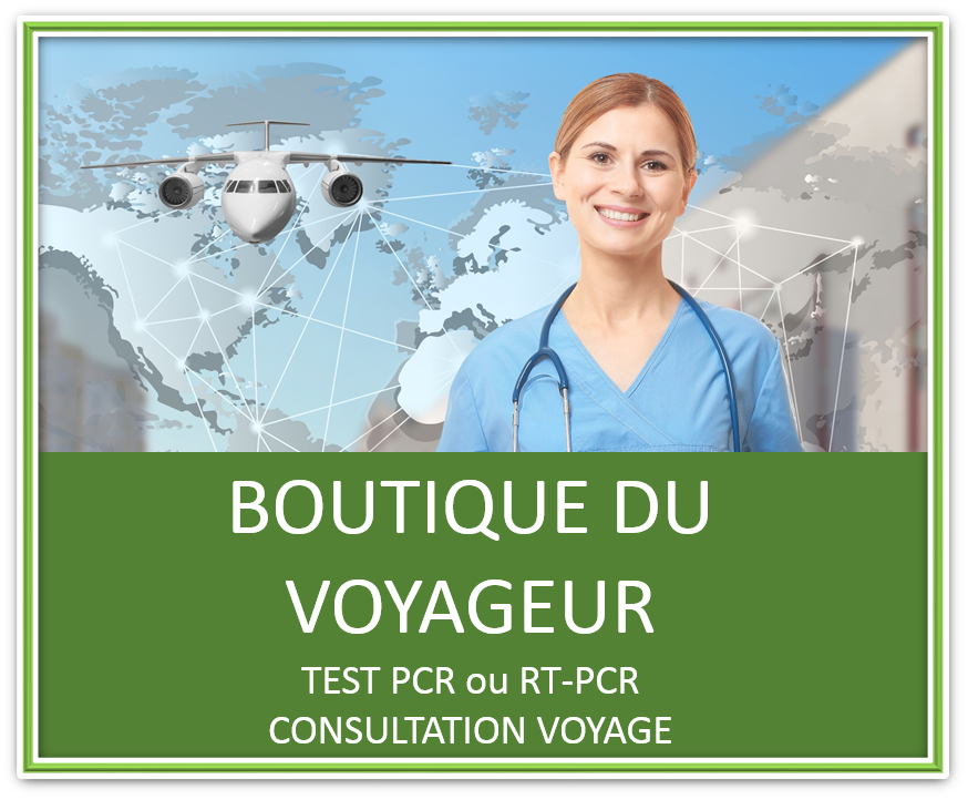BOUTON - VOYAGEUR2